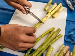 Leatherman Curl Multitool Met Nylon Etui 20 Leatherman Curl Multitool Met Nylon Etui -Gereedschap Voor Buiten leatherman curl nylon etui 8