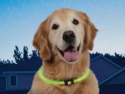 Nite Ize NiteHowl LED Safety Necklace Green -Gereedschap Voor Buiten nite ize nitehowl led safety necklace green 3